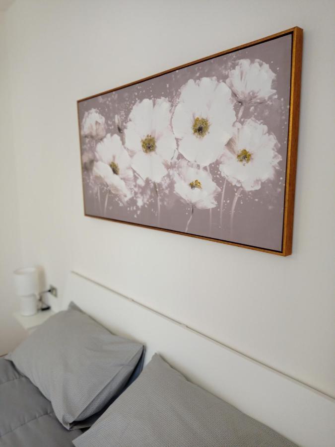 House Piazza Vittoria Apartment Medole Ngoại thất bức ảnh
